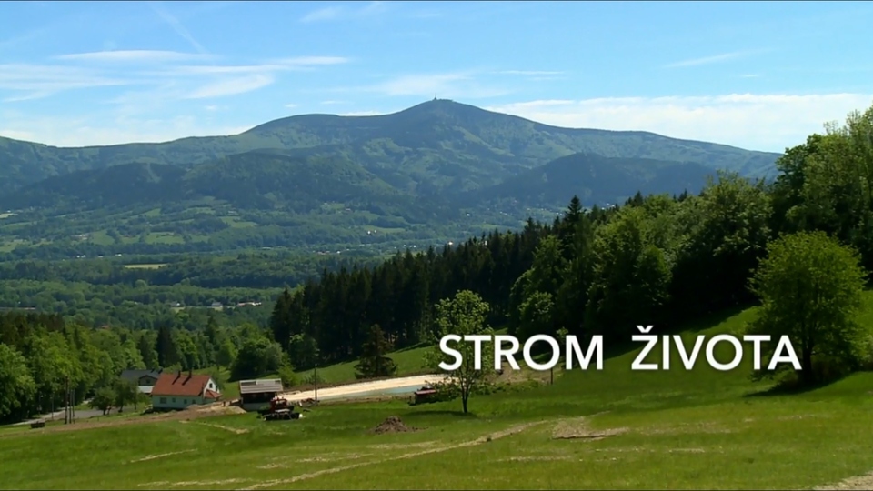 Nejlepší civilizace z roku 2017 online