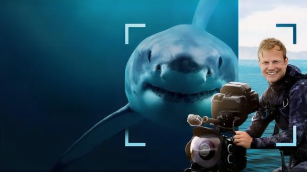 Morski psi izbliza s Bertiejem Gregoryjem