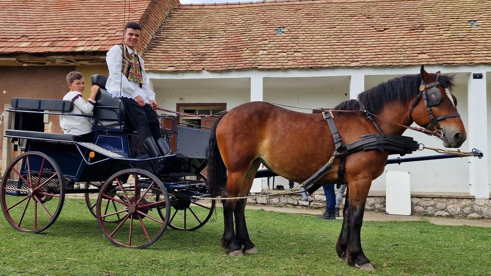 Dokumentarci Obiteljske priče