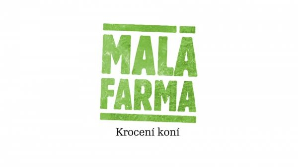 Krocení koní