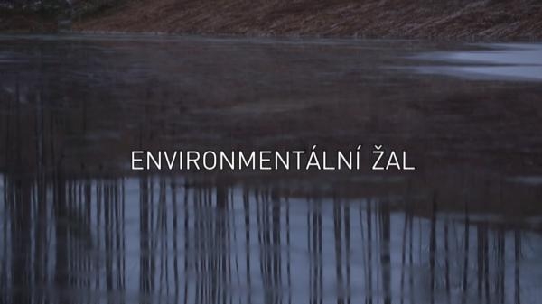 Environmentální žal
