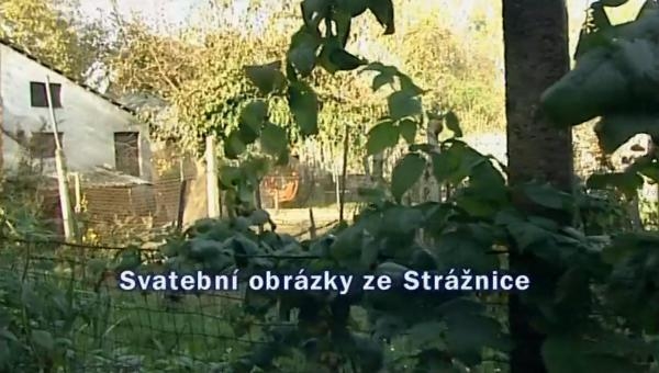 Svatební obrázky ze Strážnice