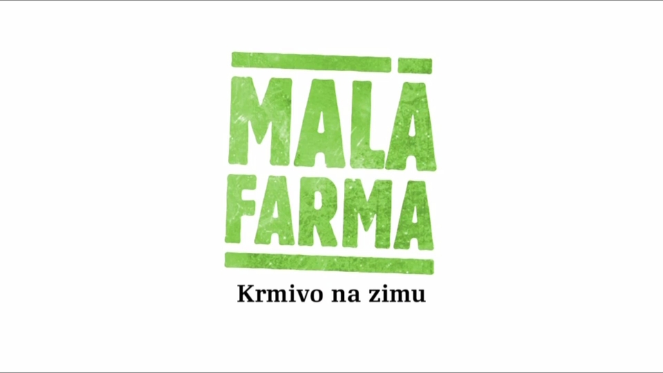 Krmivo na zimu