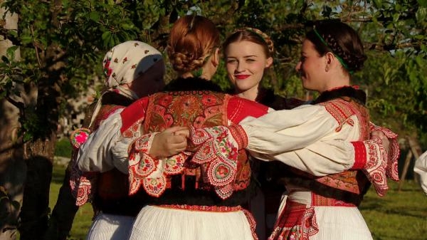 Festival mijeha, pučka i predajna kultura