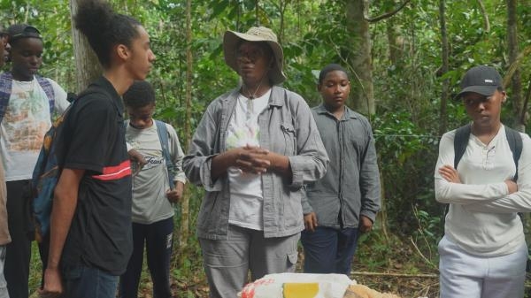 Guadeloupe: graines d'avenir