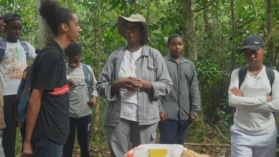Документ Guadeloupe: graines d'avenir
