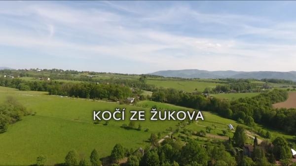 Kočí ze Žukova