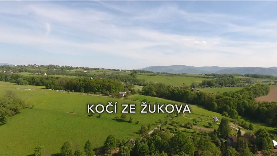 Dokument Kočí ze Žukova