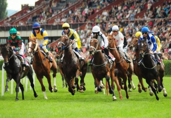 Dostihy: Gomba handicap