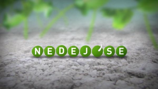 Nedej se