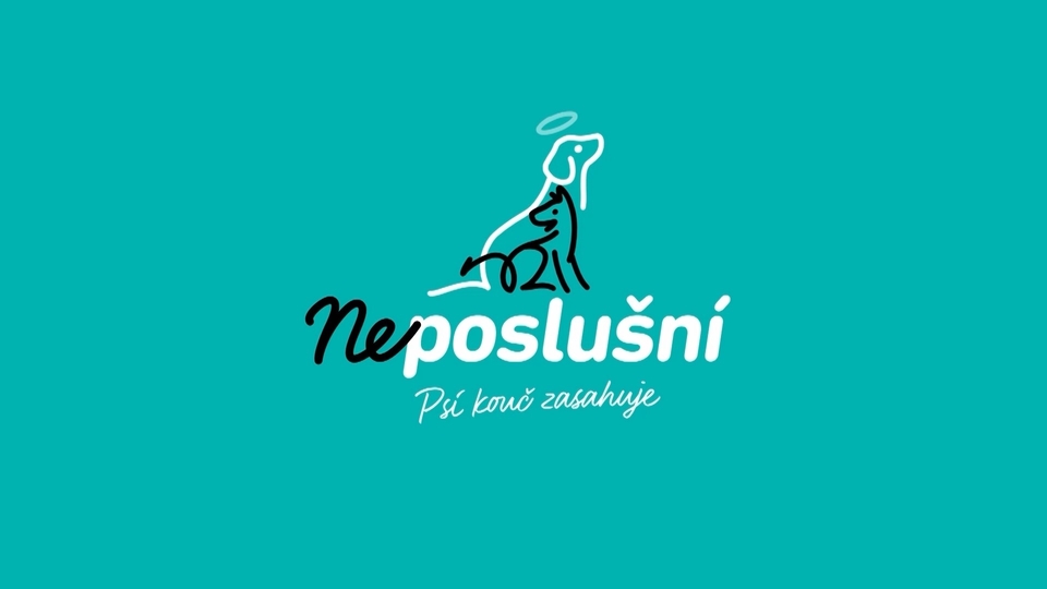 Документ Neposlušní