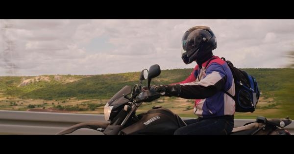 Žuti mravi