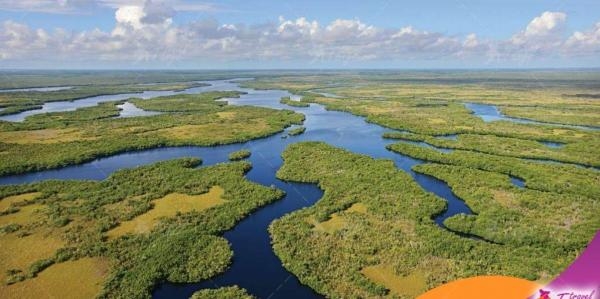 Світова природна спадщина: Національний парк Еверглейдс