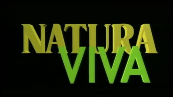 Natura viva - Splavovi niz Taru