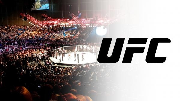 UFC 300 Pereira vs Hill