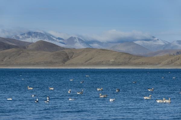 Brahmaputra: Himalájska rieka