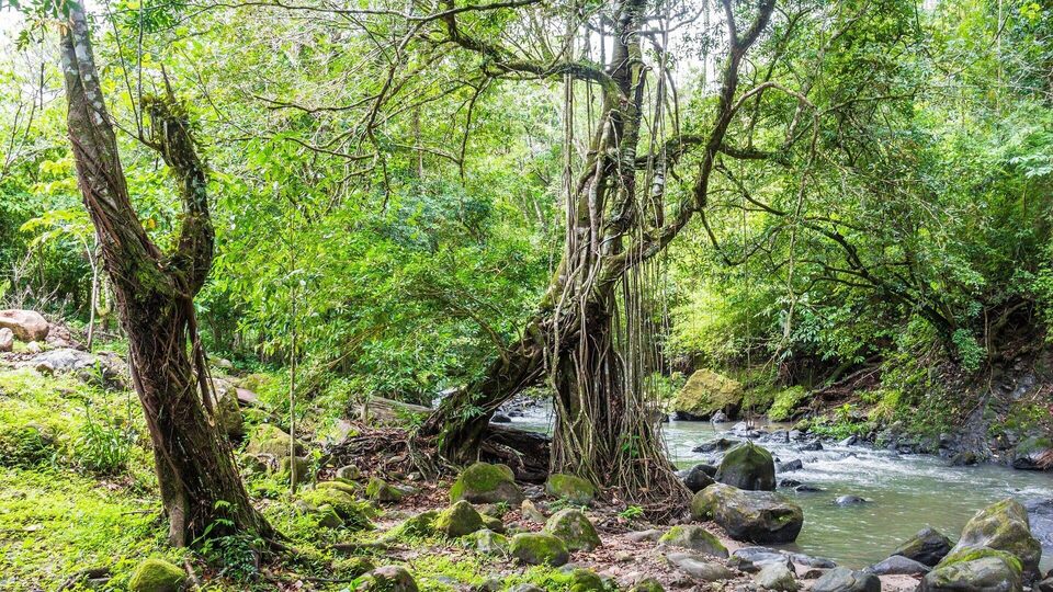 Documentary Le Panama, côté sauvage
