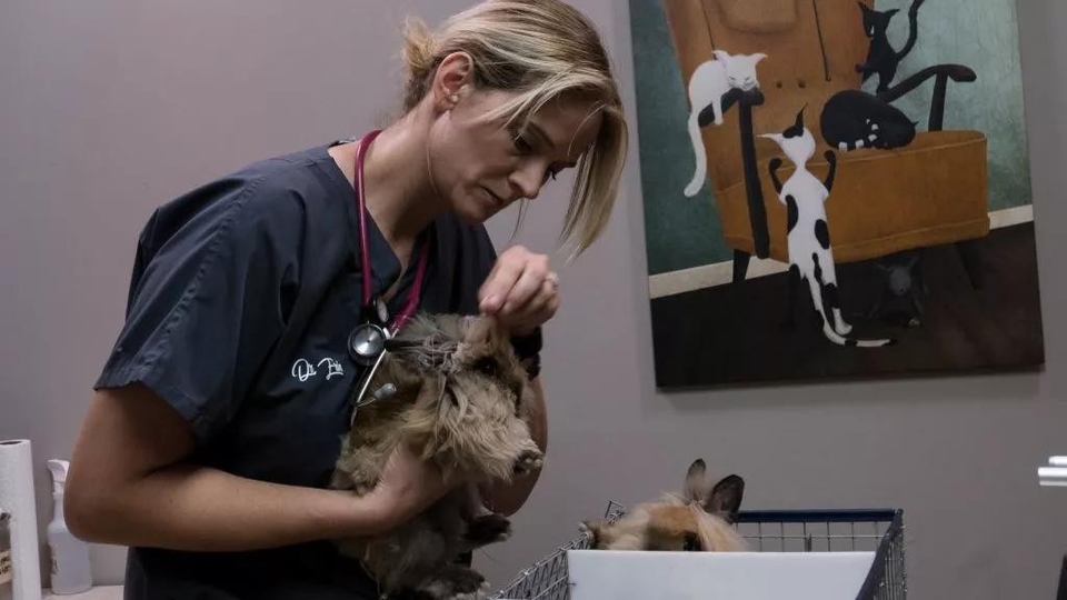 Документ Veterinari iz Nebraske