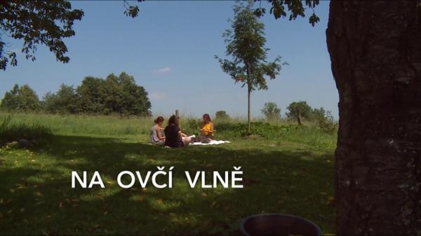 Na ovčí vlně