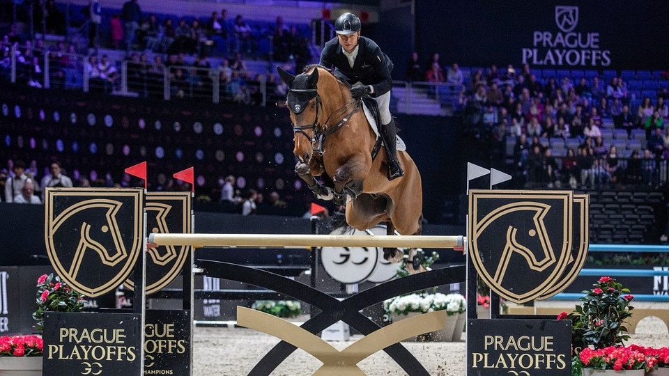 The best equestrianism online