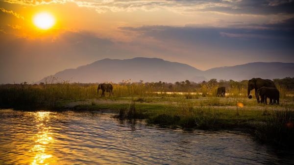 Le Zambeze, fleuve sauvage d'Afrique
