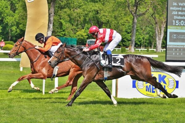 Dostihy: Turf Gala