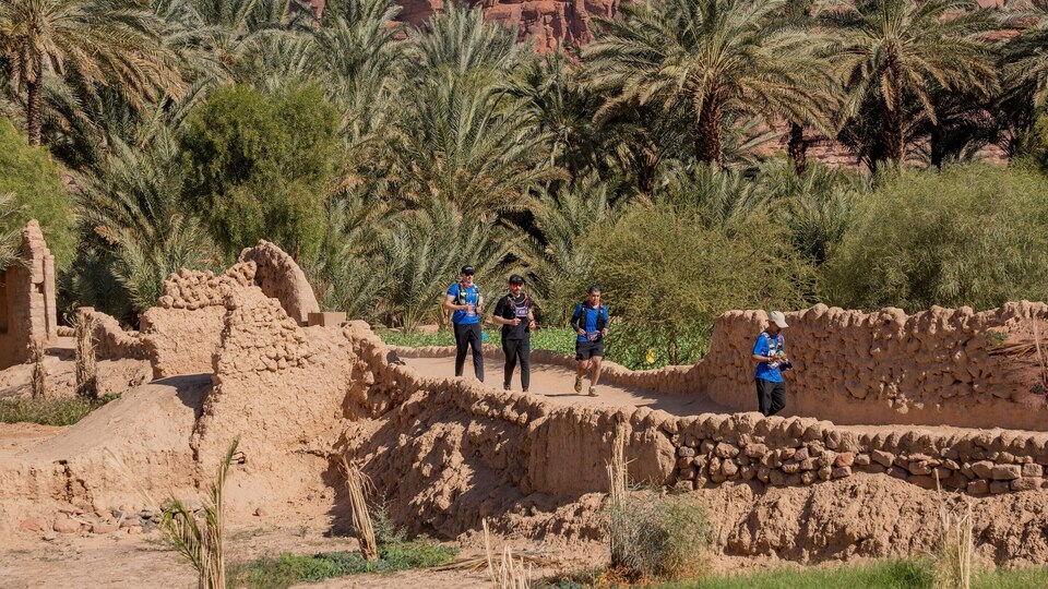 Trailing: Alula Trail Race