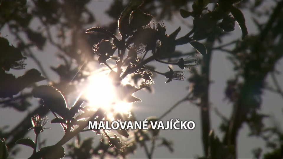 Dokument Malované vajíčko