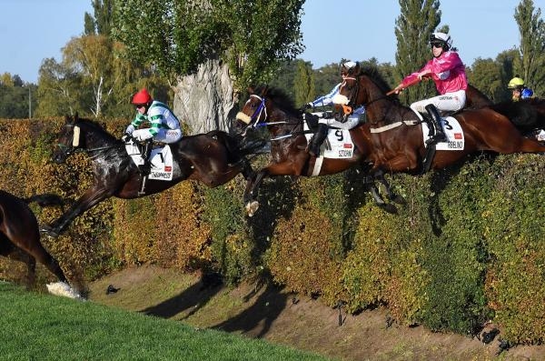 Dostihy: 132. Velká pardubická se Slavia pojišťovnou