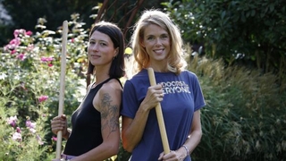 Les potagers de Julie| II