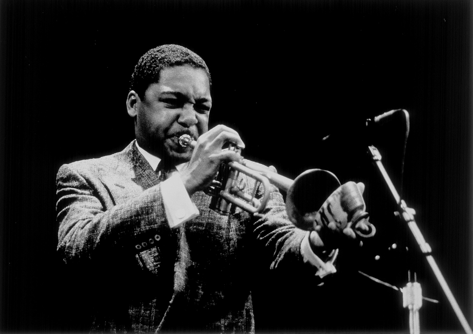 JAZZ: Riziko