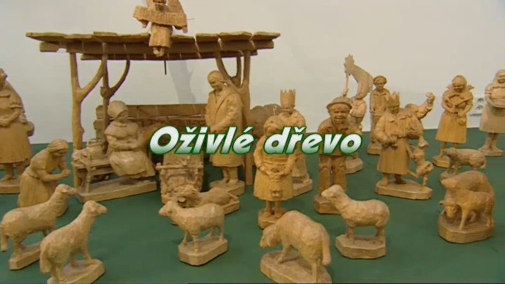 Dokument Oživlé dřevo