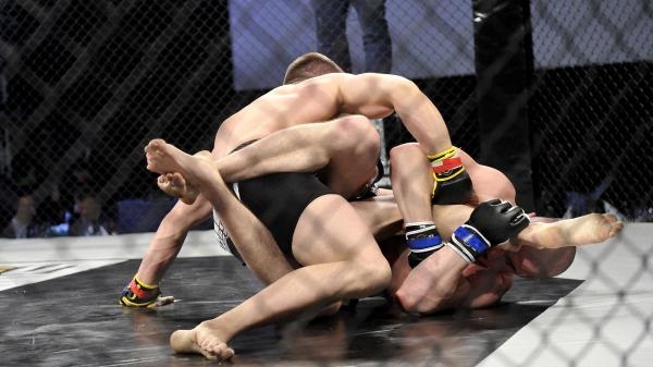 Sporty walki: Fist Universe 4