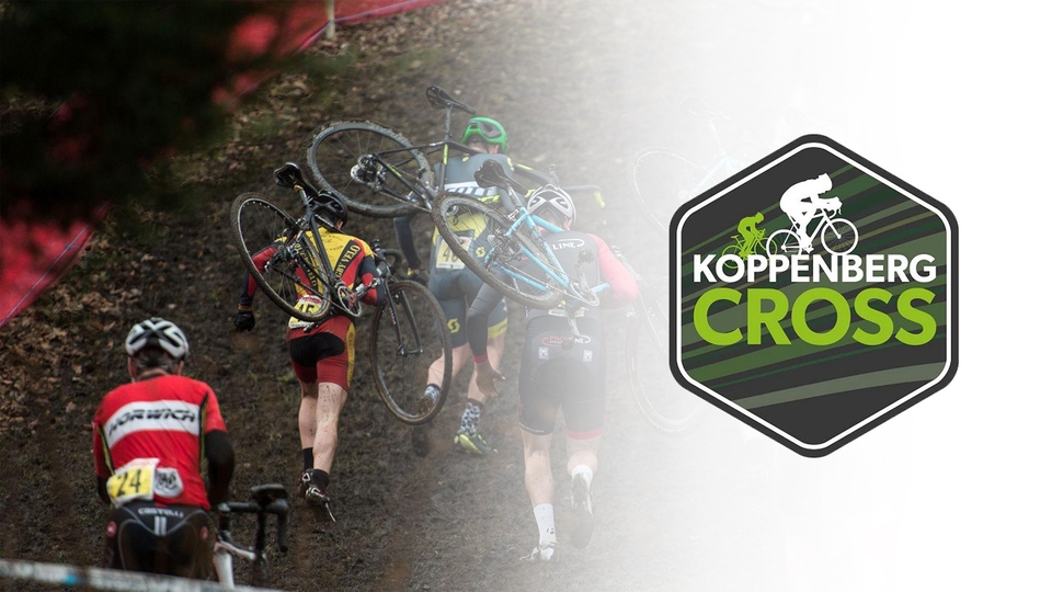 Ciklo-Kros: Trofej Cikolokros Brisel, Hame, Žene