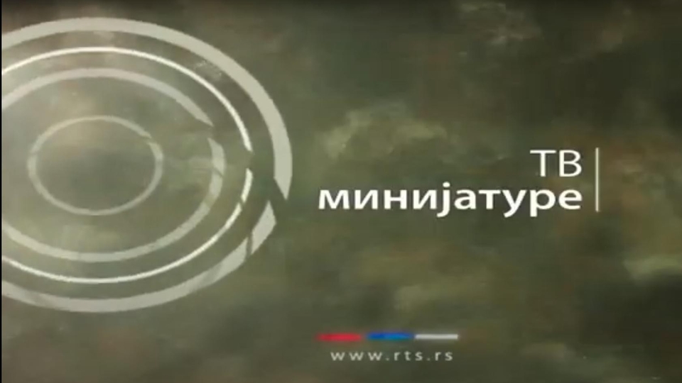 Serije  TV minijature: Sve kockice Natašinog mozaika