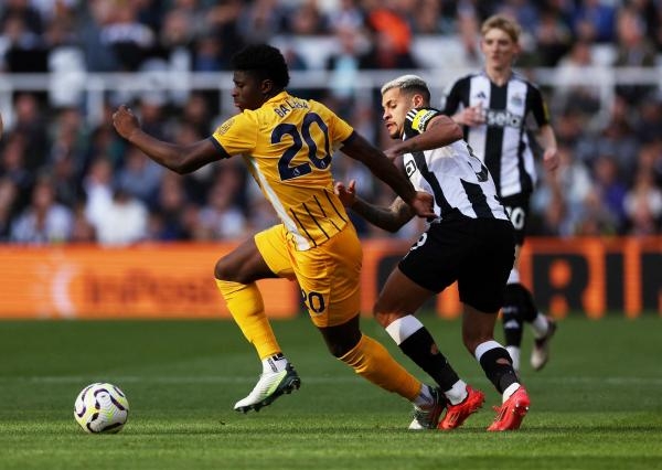 Newcastle United - Brighton & Hove Albion