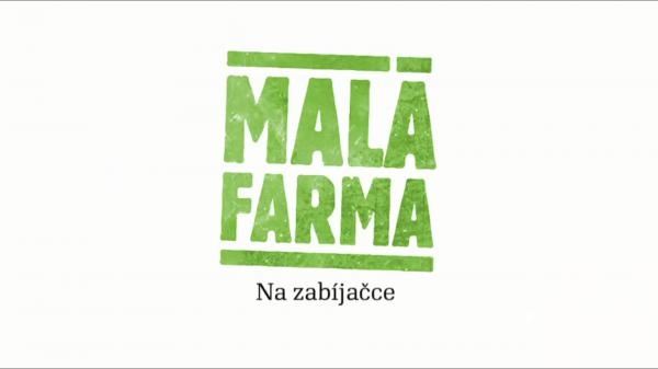 Na zabijačce