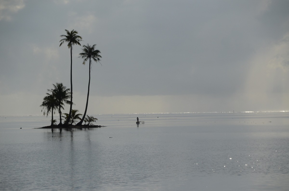 Documentary Na cestě po ostrově Moorea