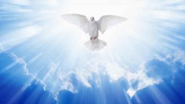 Msza Święta w intencji Ojczyzny ze Świątyni Opatrzności Bożej