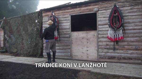 Tradice koní v Lanžhotě