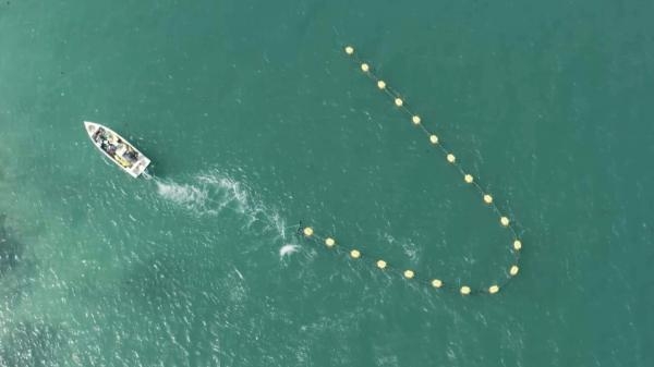 Caraibes, sur la route des Sargasses