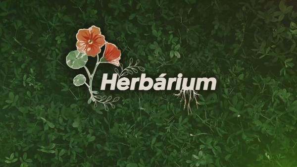 Herbárium