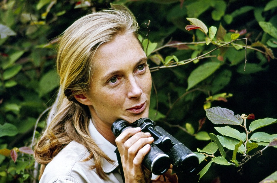 Documentary Trimátky
