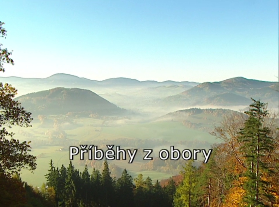 Dokument Příběhy z obory
