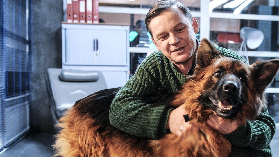 Серія Комісар Алекс