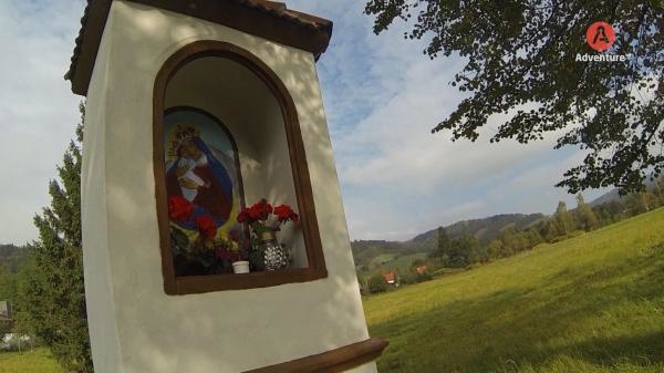 Lasy Dolnego Śląska