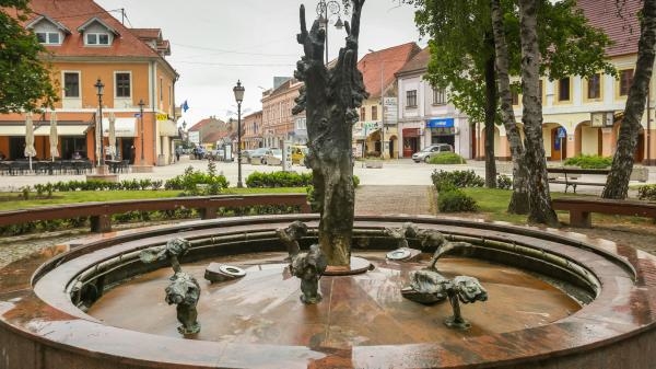 Svečana sjednica Gradskog vijeća Grada Vinkovaca