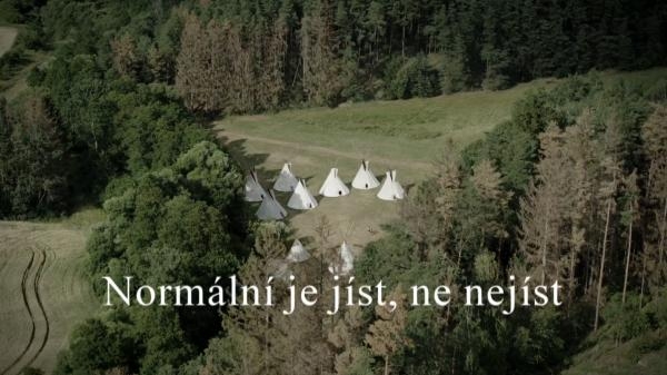 Normální je jíst, ne nejíst