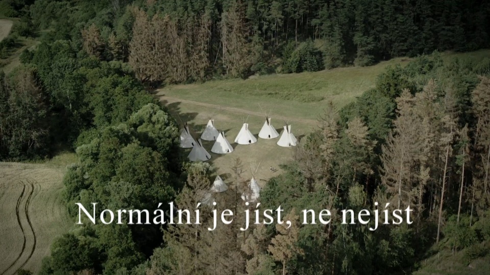 Documentary Normální je jíst, ne nejíst