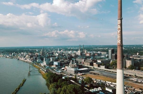 Insekticídy - licencia na zabíjanie